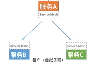 技术解读 Rainbond ServiceMesh微服务架构与开源PaaS平台的数据处理与存储支持