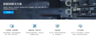 大数据时代的数据基石 数据库解决方案与处理存储支持服务探析