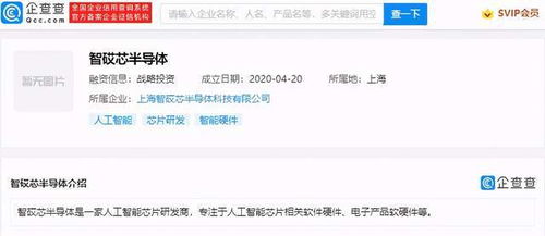 数据处理与存储支持服务 数字化时代的核心保障